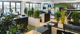 Zu sehen ist der Einblick in ein offenes Büro bei PhysioSport Köln. Zu sehen sind weiterhin die einzelnen Arbeitsbereiche, Blumen und diverse Trennwände.