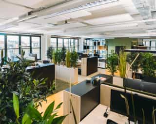 Zu sehen ist der Einblick in ein offenes Büro bei Physiosport Köln. Zu sehen sind weiterhin die einzelnen Arbeitsbereiche, Blumen und diverse Trennwände.